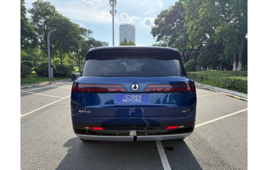 Denza N9 DM, 2025, пробіг 1,2 тисячі км